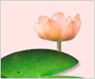׽Ʈ Ǯ