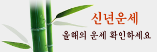 신년운세