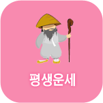 평생 운세풀이